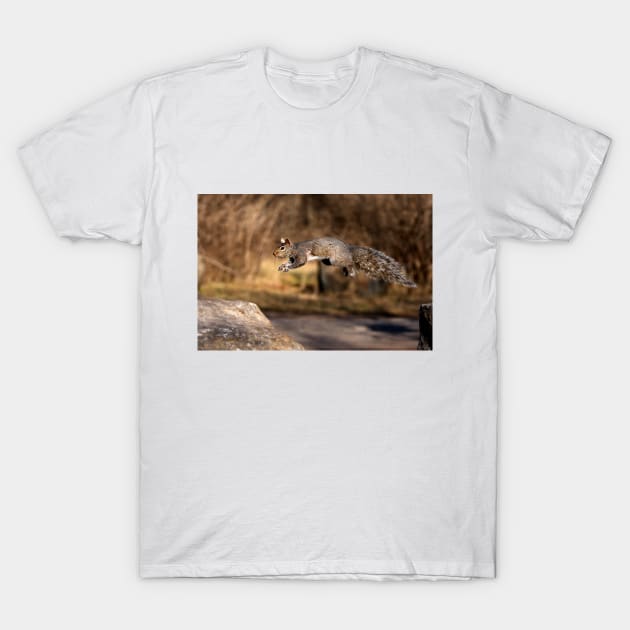 Flying Grey Squirrel T-Shirt by Jim Cumming